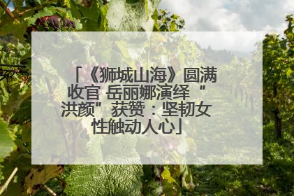 《狮城山海》圆满收官 岳丽娜演绎“洪颜”获赞：坚韧女性触动人心