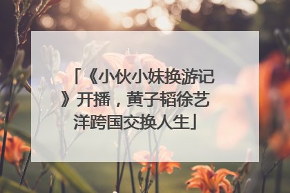 《小伙小妹换游记》开播，黄子韬徐艺洋跨国交换人生