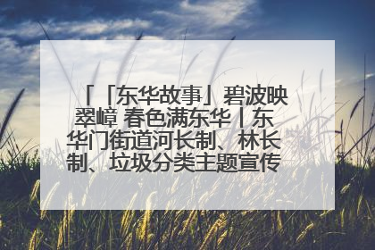 「东华故事」碧波映翠嶂 春色满东华丨东华门街道河长制、林长制、垃圾分类主题宣传如火如荼中