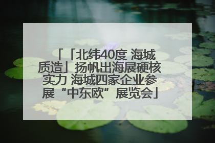 「北纬40度 海城质造」扬帆出海展硬核实力 海城四家企业参展“中东欧”展览会