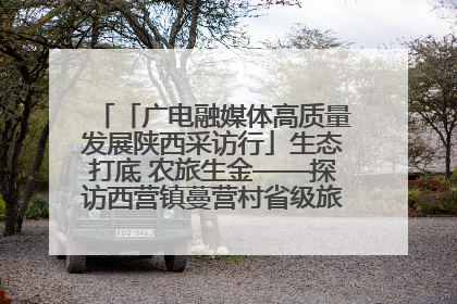 「广电融媒体高质量发展陕西采访行」生态打底 农旅生金——探访西营镇蔓营村省级旅游示范村的振兴密码
