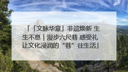 「文脉华章」非遗焕新 生生不息｜漫步六尺巷 感受礼让文化浸润的“巷”往生活