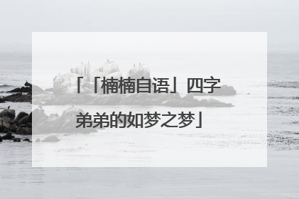 「楠楠自语」四字弟弟的如梦之梦