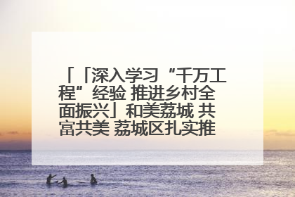 「深入学习“千万工程”经验 推进乡村全面振兴」和美荔城 共富共美 荔城区扎实推进乡村振兴工作