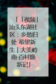 「视频」汕头东湖社区：乡愁归处 希望新生｜大美岭南·百村焕新记