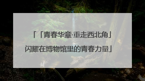 「青春华章·重走西北角」闪耀在博物馆里的青春力量