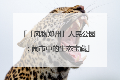 「风物郑州」人民公园：闹市中的生态宝藏