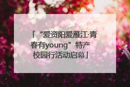 “爱资阳爱雁江·青春有young”特产校园行活动启幕