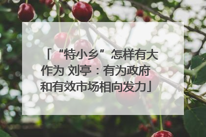 “特小乡”怎样有大作为 刘亭：有为政府和有效市场相向发力