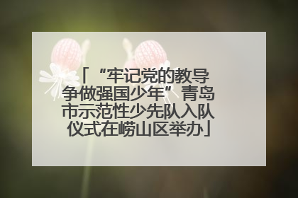 “牢记党的教导 争做强国少年”青岛市示范性少先队入队仪式在崂山区举办