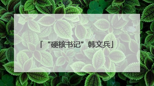 “硬核书记”韩文兵