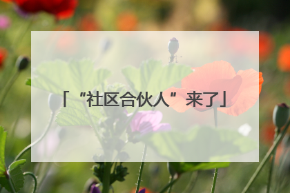 “社区合伙人”来了