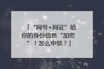 “网号+网证”给你的身份信息“加密”！怎么申领？