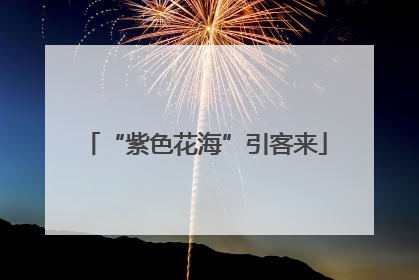 “紫色花海”引客来
