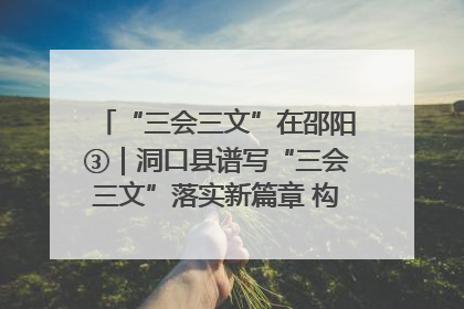“三会三文”在邵阳③｜洞口县谱写“三会三文”落实新篇章 构建协同联动大格局