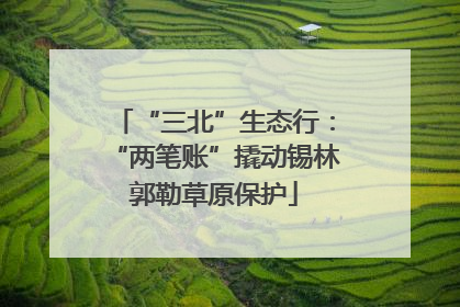“三北”生态行：“两笔账”撬动锡林郭勒草原保护