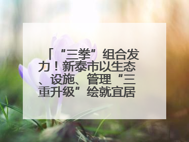 “三拳”组合发力！新泰市以生态、设施、管理“三重升级”绘就宜居新画卷