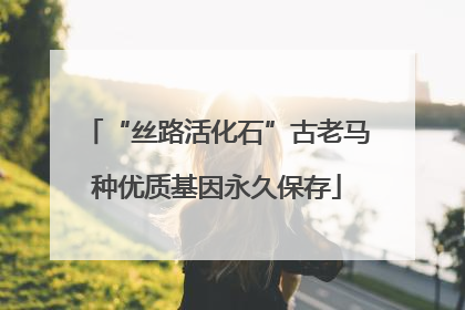 “丝路活化石”古老马种优质基因永久保存