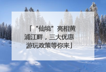 “仙境”亮相黄浦江畔，三大优惠游玩政策等你来