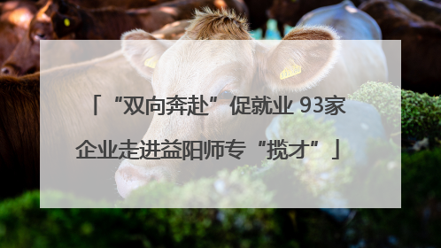 “双向奔赴”促就业 93家企业走进益阳师专“揽才”