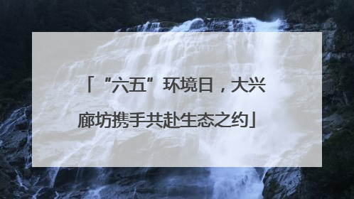 “六五”环境日，大兴廊坊携手共赴生态之约