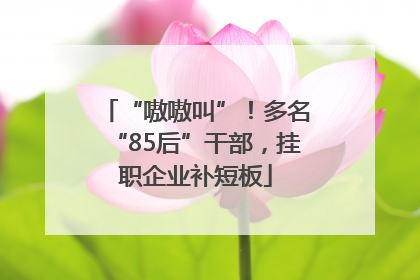 “嗷嗷叫”！多名“85后”干部，挂职企业补短板