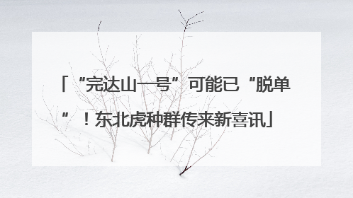 “完达山一号”可能已“脱单”！东北虎种群传来新喜讯