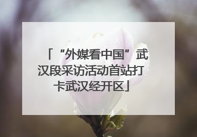 “外媒看中国”武汉段采访活动首站打卡武汉经开区