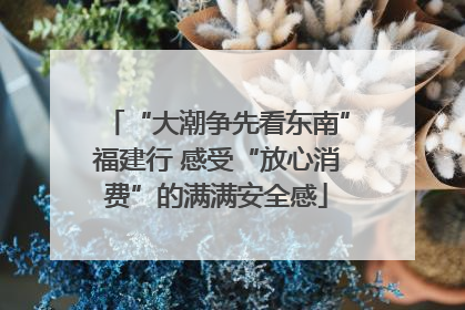 “大潮争先看东南”福建行 感受“放心消费”的满满安全感