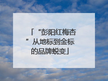 “彭阳红梅杏”从地标到金标的品牌蜕变
