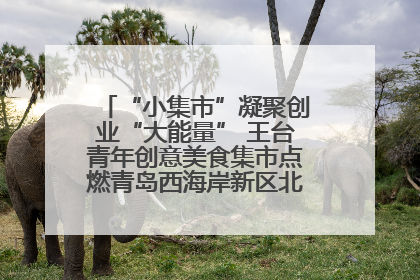 “小集市”凝聚创业“大能量” 王台青年创意美食集市点燃青岛西海岸新区北部新城夜经济