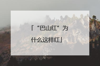 “巴山红”为什么这样红