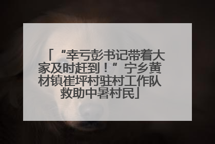“幸亏彭书记带着大家及时赶到！”宁乡黄材镇崔坪村驻村工作队救助中暑村民