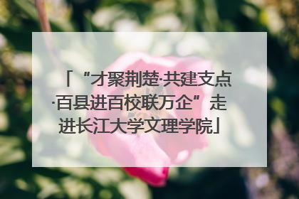 “才聚荆楚·共建支点·百县进百校联万企”走进长江大学文理学院