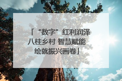 “数字”红利润泽八桂乡村 智慧赋能绘就振兴画卷