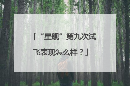 “星舰”第九次试飞表现怎么样？