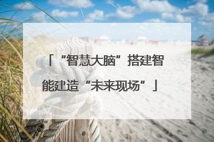 “智慧大脑”搭建智能建造“未来现场”