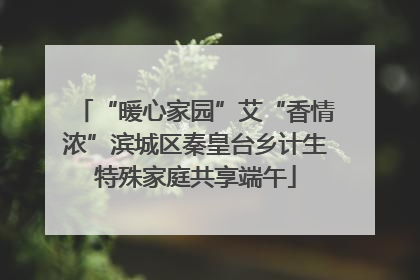 “暖心家园”艾“香情浓”滨城区秦皇台乡计生特殊家庭共享端午