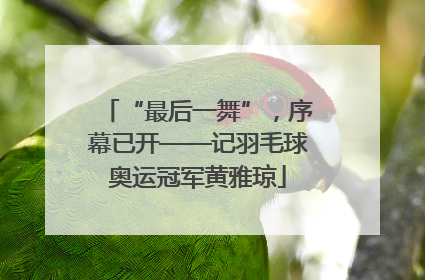 “最后一舞”，序幕已开——记羽毛球奥运冠军黄雅琼