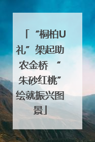 “桐柏U礼”架起助农金桥 “朱砂红桃”绘就振兴图景