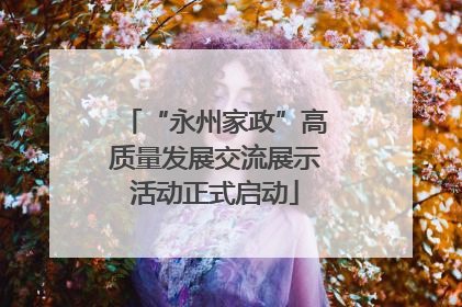 “永州家政”高质量发展交流展示活动正式启动