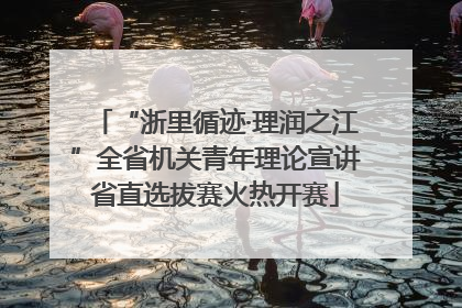 “浙里循迹·理润之江”全省机关青年理论宣讲省直选拔赛火热开赛