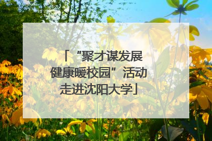 “聚才谋发展 健康暖校园”活动走进沈阳大学