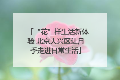 “花”样生活新体验 北京大兴区让月季走进日常生活