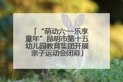 “萌动六一·乐享童年”昆明市第十五幼儿园教育集团开展亲子运动会闭幕
