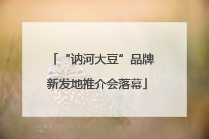 “讷河大豆”品牌新发地推介会落幕