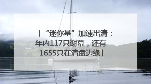 “迷你基”加速出清：年内117只谢幕，还有1655只在清盘边缘