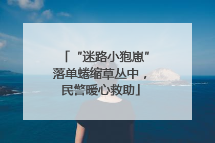 “迷路小狍崽”落单蜷缩草丛中，民警暖心救助