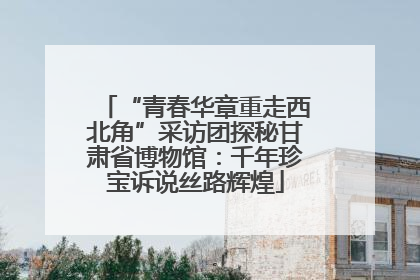 “青春华章重走西北角”采访团探秘甘肃省博物馆：千年珍宝诉说丝路辉煌