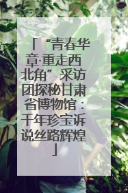 “青春华章·重走西北角”采访团探秘甘肃省博物馆：千年珍宝诉说丝路辉煌